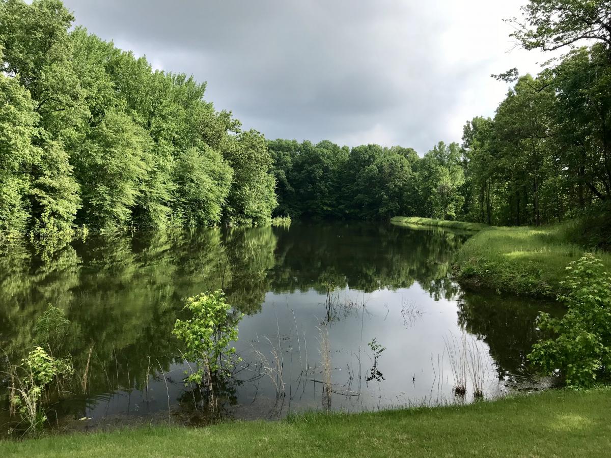 50 Acres with Six Homes and Three Ponds Kurtz Auction & Realty Co.